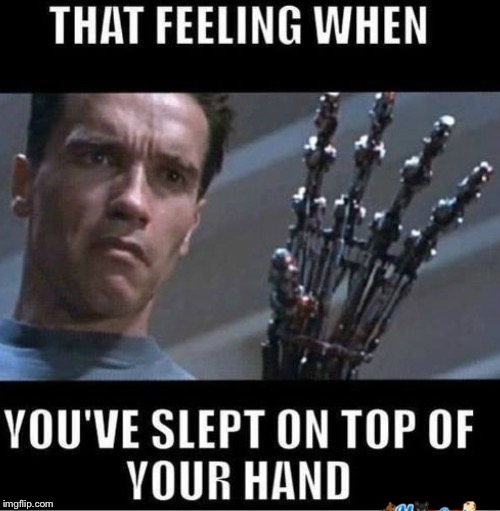 Hell To You Terminator | image tagged in that feeling when | made w/ Imgflip meme maker