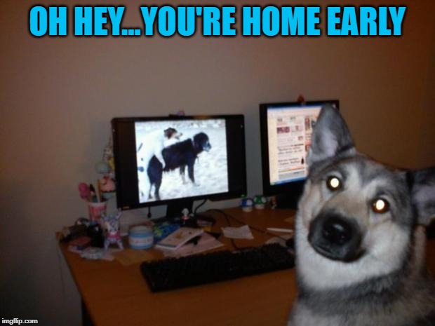 It's time to change the password. | OH HEY...YOU'RE HOME EARLY | image tagged in dog watching tv,memes,dogs,funny,animals,busted | made w/ Imgflip meme maker