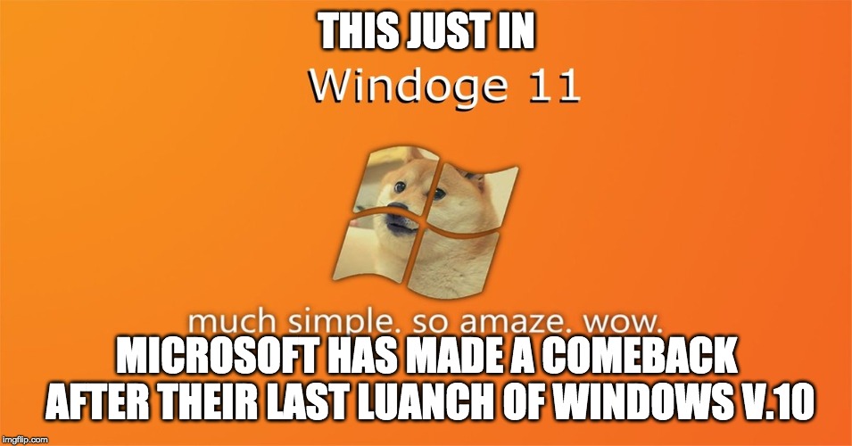 Windoge 11 | THIS JUST IN; MICROSOFT HAS MADE A COMEBACK AFTER THEIR LAST LUANCH OF WINDOWS V.10 | image tagged in windoge 11 | made w/ Imgflip meme maker