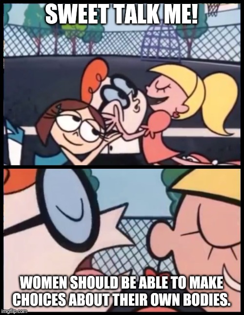 Say it Again, Dexter | SWEET TALK ME! WOMEN SHOULD BE ABLE TO MAKE CHOICES ABOUT THEIR OWN BODIES. | image tagged in memes,say it again dexter | made w/ Imgflip meme maker