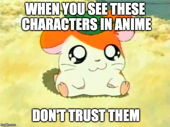 Hamtaro Meme | WHEN YOU SEE THESE CHARACTERS IN ANIME; DON'T TRUST THEM | image tagged in memes,hamtaro | made w/ Imgflip meme maker