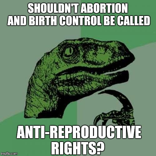 Maybe the company that provides them should be called Avoiding Parenthood. (FYI: I can't respond to comments,  email issues) |  SHOULDN'T ABORTION AND BIRTH CONTROL BE CALLED; ANTI-REPRODUCTIVE RIGHTS? | image tagged in memes,philosoraptor,abortion,birth control | made w/ Imgflip meme maker
