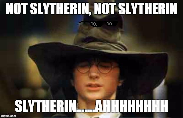 Harry Potter sorting hat | NOT SLYTHERIN, NOT SLYTHERIN; SLYTHERIN.......AHHHHHHHH | image tagged in harry potter sorting hat | made w/ Imgflip meme maker