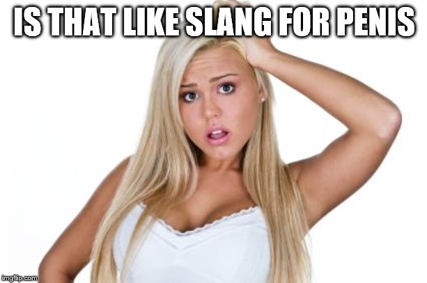 Basic  White Girl | IS THAT LIKE SLANG FOR P**IS | image tagged in basic white girl | made w/ Imgflip meme maker