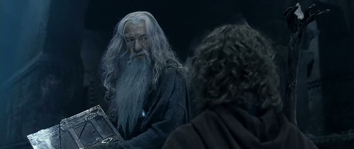 Fool of a Took Blank Meme Template