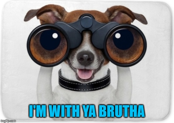 I'M WITH YA BRUTHA | made w/ Imgflip meme maker