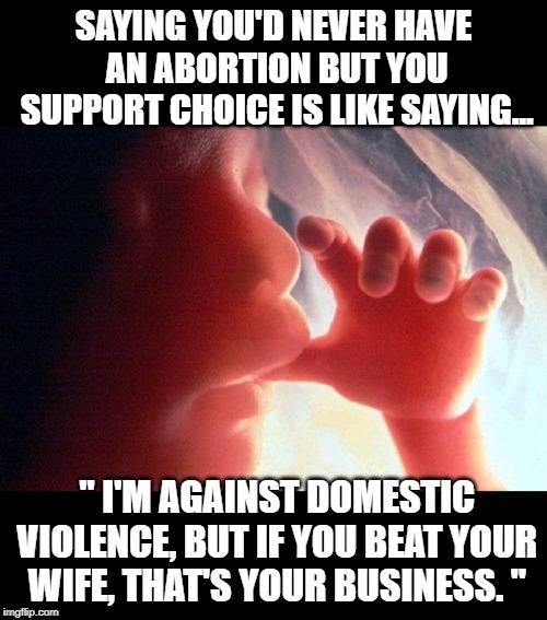 Abort Retort | SAYING YOU'D NEVER HAVE AN ABORTION BUT YOU SUPPORT CHOICE IS LIKE SAYING... " I'M AGAINST DOMESTIC VIOLENCE, BUT IF YOU BEAT YOUR WIFE, THAT'S YOUR BUSINESS. " | image tagged in abortion,pro-life,pro-choice | made w/ Imgflip meme maker