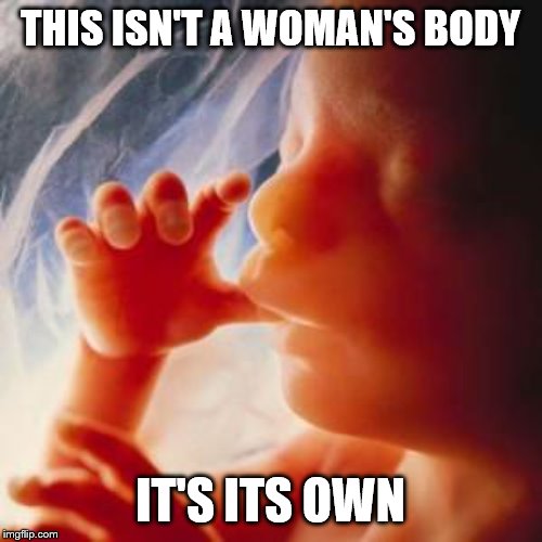 Fetus | THIS ISN'T A WOMAN'S BODY IT'S ITS OWN | image tagged in fetus | made w/ Imgflip meme maker