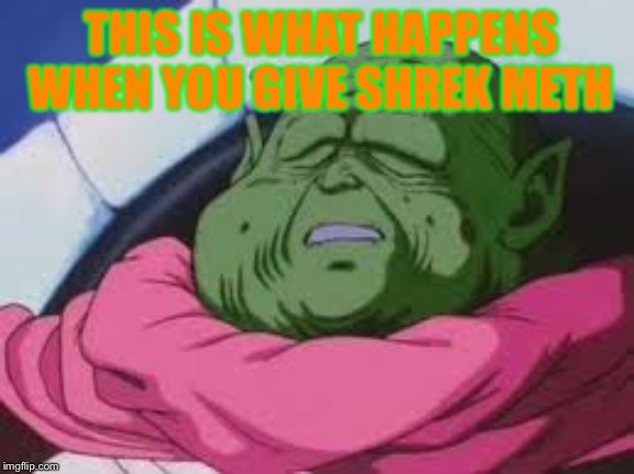 Super Kami Guru Allows This |  THIS IS WHAT HAPPENS WHEN YOU GIVE SHREK METH | image tagged in memes,super kami guru allows this | made w/ Imgflip meme maker