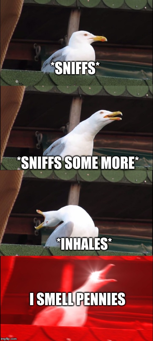 Inhaling Seagull | *SNIFFS*; *SNIFFS SOME MORE*; *INHALES*; I SMELL PENNIES | image tagged in memes,inhaling seagull | made w/ Imgflip meme maker