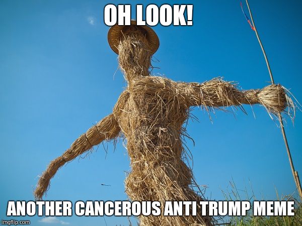 Strawman | OH LOOK! ANOTHER CANCEROUS ANTI TRUMP MEME | image tagged in strawman | made w/ Imgflip meme maker