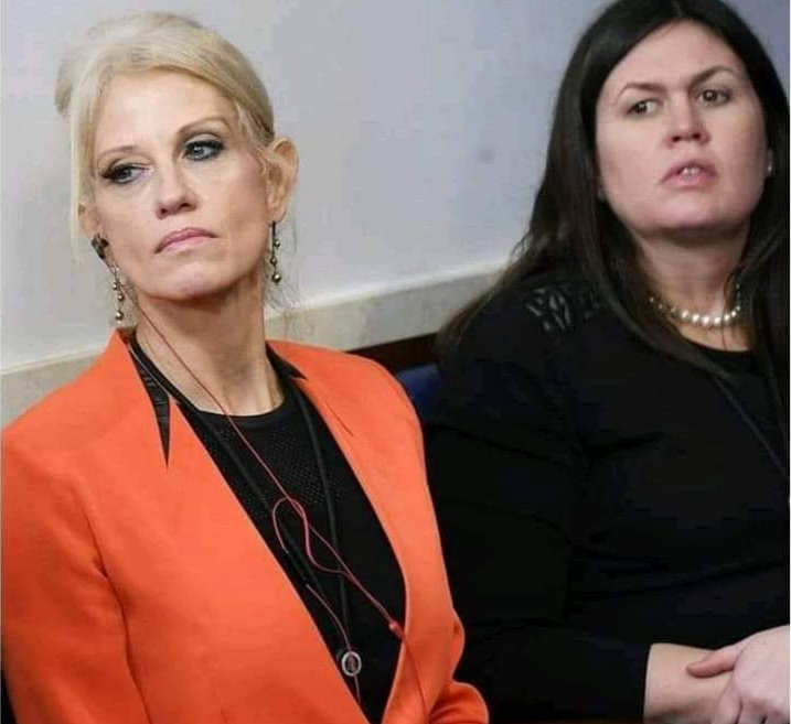 Kellyann Sara Blank Meme Template
