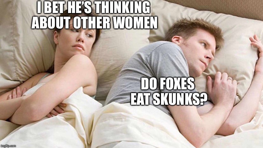 I Bet He's Thinking About Other Women Meme | I BET HE’S THINKING ABOUT OTHER WOMEN; DO FOXES EAT SKUNKS? | image tagged in i bet he's thinking about other women | made w/ Imgflip meme maker