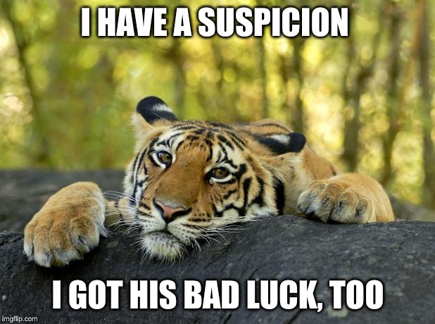 Confession Tiger | I HAVE A SUSPICION I GOT HIS BAD LUCK, TOO | image tagged in confession tiger | made w/ Imgflip meme maker