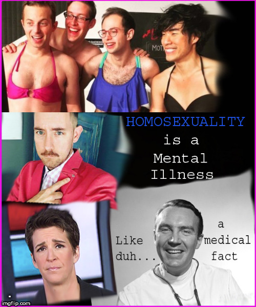 ...it is an illness | . | image tagged in homosexuality,rachel maddow,lgbtq,lol so funny,politics lol,so true memes | made w/ Imgflip meme maker