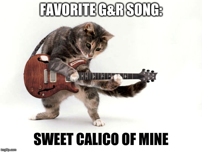 Guitar cat | FAVORITE G&R SONG: SWEET CALICO OF MINE | image tagged in guitar cat | made w/ Imgflip meme maker