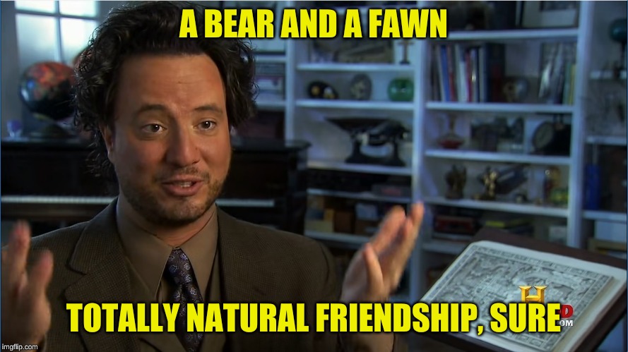 Giorgio Tsoukalos - Atlantis lifted up | A BEAR AND A FAWN TOTALLY NATURAL FRIENDSHIP, SURE | image tagged in giorgio tsoukalos - atlantis lifted up | made w/ Imgflip meme maker