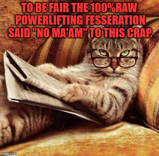 Smart Cat | TO BE FAIR THE 100%RAW POWERLIFTING FESSERATION SAID "NO MA'AM" TO THIS CRAP. | image tagged in smart cat | made w/ Imgflip meme maker