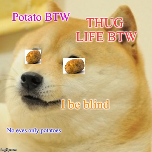 Doge Meme | THUG LIFE BTW; Potato BTW; I be blind; No eyes only potatoes | image tagged in memes,doge | made w/ Imgflip meme maker