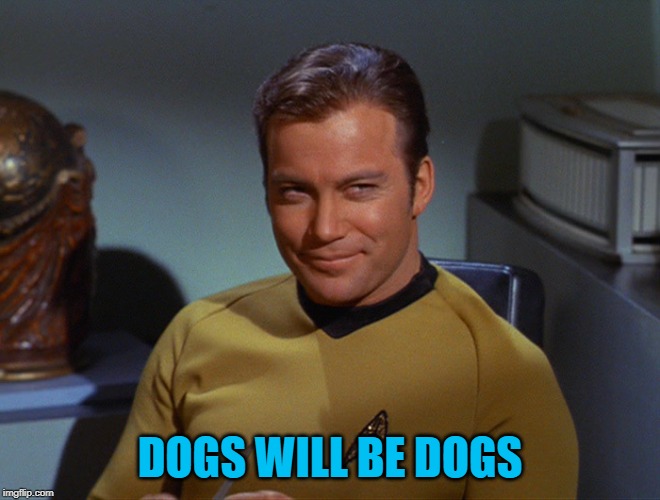 DOGS WILL BE DOGS | made w/ Imgflip meme maker