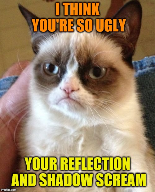Grumpy Cat Meme | I THINK YOU'RE SO UGLY; YOUR REFLECTION AND SHADOW SCREAM | image tagged in memes,grumpy cat | made w/ Imgflip meme maker