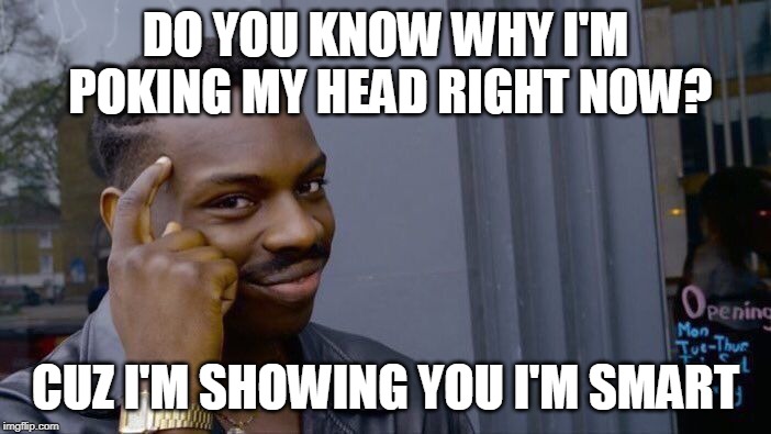 Roll Safe Think About It | DO YOU KNOW WHY I'M POKING MY HEAD RIGHT NOW? CUZ I'M SHOWING YOU I'M SMART | image tagged in memes,roll safe think about it | made w/ Imgflip meme maker
