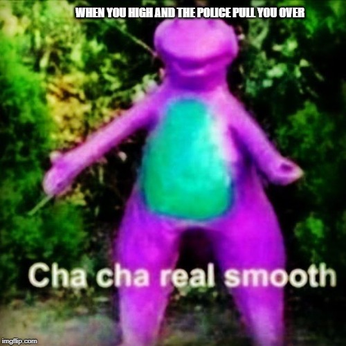 Cha Cha Real Smooth | WHEN YOU HIGH AND THE POLICE PULL YOU OVER | image tagged in cha cha real smooth | made w/ Imgflip meme maker