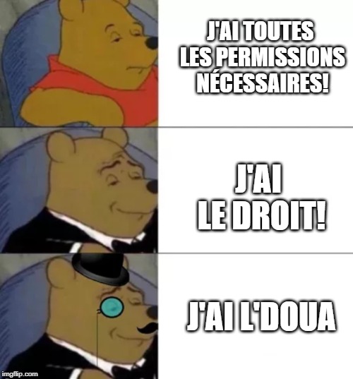 Fancy pooh | J'AI TOUTES LES PERMISSIONS NÉCESSAIRES! J'AI LE DROIT! J'AI L'DOUA | image tagged in fancy pooh | made w/ Imgflip meme maker