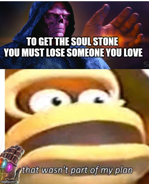 That wasn't part of my plan | TO GET THE SOUL STONE YOU MUST LOSE SOMEONE YOU LOVE | image tagged in that wasn't part of my plan | made w/ Imgflip meme maker
