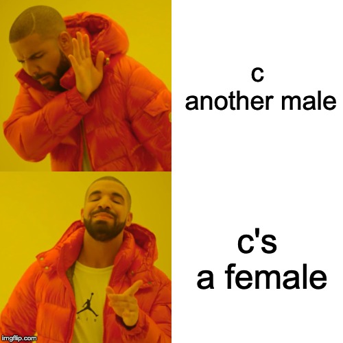 Drake Hotline Bling | c another male; c's a female | image tagged in memes,drake hotline bling | made w/ Imgflip meme maker