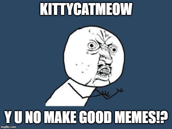 Why you no | KITTYCATMEOW; Y U NO MAKE GOOD MEMES!? | image tagged in why you no | made w/ Imgflip meme maker