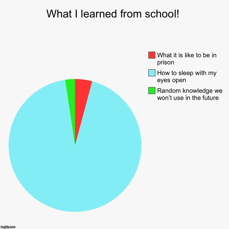 What I learned from school! | Random knowledge we won’t use in the future, How to sleep with my eyes open, What it is like to be in prison | image tagged in charts,pie charts,school | made w/ Imgflip chart maker