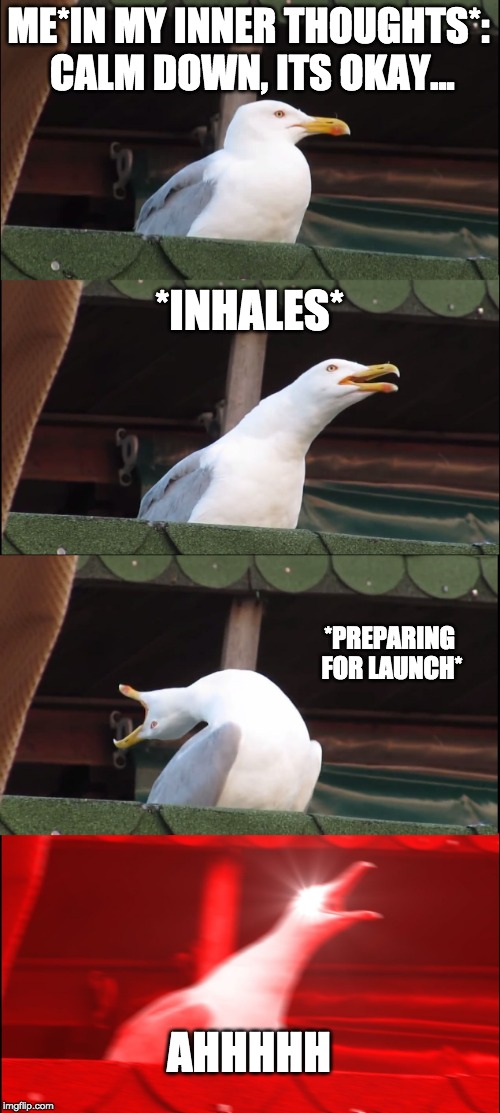 Inhaling Seagull | ME*IN MY INNER THOUGHTS*: CALM DOWN, ITS OKAY... *INHALES*; *PREPARING FOR LAUNCH*; AHHHHH | image tagged in memes,inhaling seagull | made w/ Imgflip meme maker