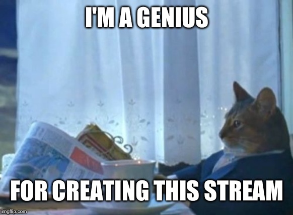 No seriously it was an awesome idea | I'M A GENIUS; FOR CREATING THIS STREAM | image tagged in memes,i should buy a boat cat | made w/ Imgflip meme maker