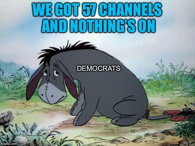 eeyore | WE GOT 57 CHANNELS AND NOTHING’S ON; DEMOCRATS | image tagged in eeyore | made w/ Imgflip meme maker