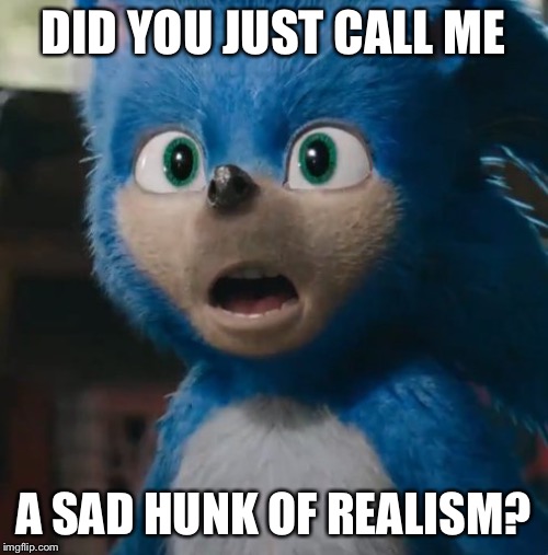 Sonic Movie | DID YOU JUST CALL ME; A SAD HUNK OF REALISM? | image tagged in sonic movie | made w/ Imgflip meme maker