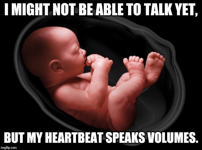 Baby in Womb | I MIGHT NOT BE ABLE TO TALK YET, BUT MY HEARTBEAT SPEAKS VOLUMES. | image tagged in baby in womb | made w/ Imgflip meme maker