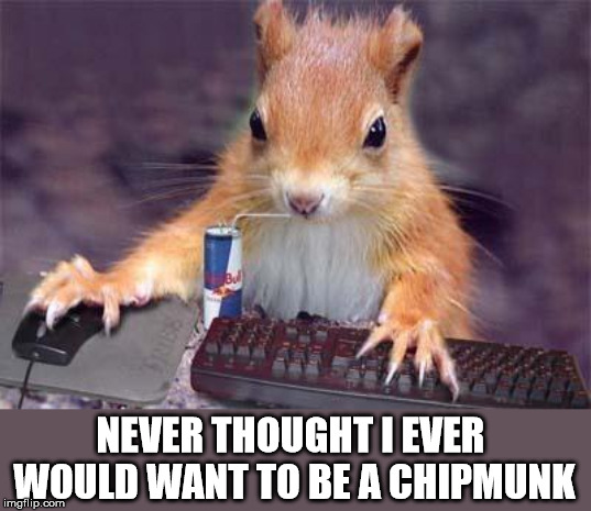 gamer chipmunk | NEVER THOUGHT I EVER WOULD WANT TO BE A CHIPMUNK | image tagged in gamer chipmunk | made w/ Imgflip meme maker