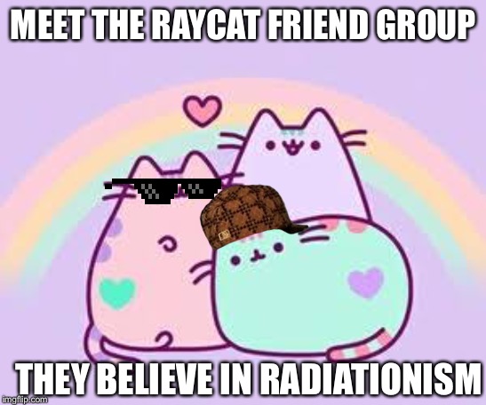 Pusheen | MEET THE RAYCAT FRIEND GROUP; THEY BELIEVE IN RADIATIONISM | image tagged in pusheen | made w/ Imgflip meme maker