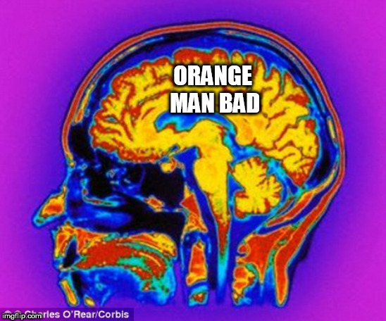 This is you | ORANGE MAN BAD | image tagged in this is you | made w/ Imgflip meme maker