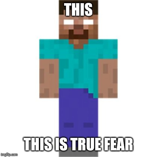True fear | THIS; THIS IS TRUE FEAR | image tagged in minecraft | made w/ Imgflip meme maker