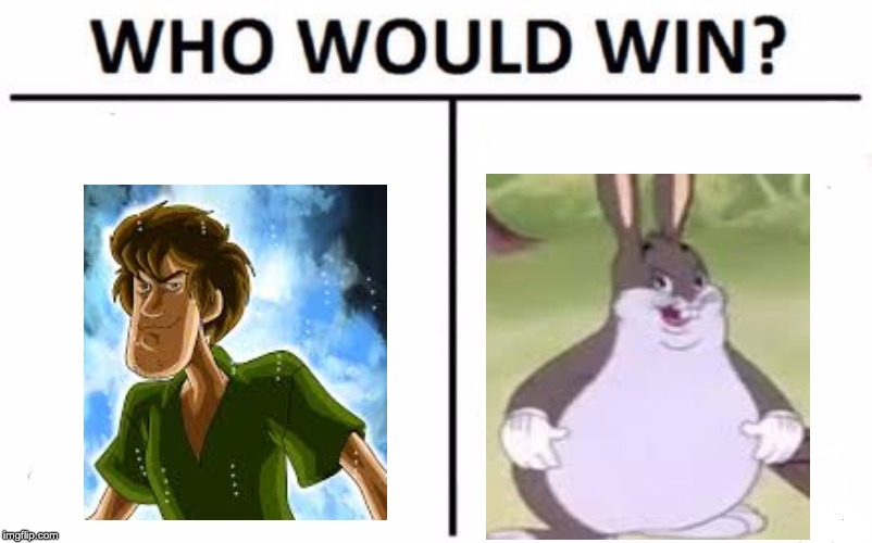 I honestly have no idea with this. Help me out. | image tagged in memes,who would win,shaggy,big chungus | made w/ Imgflip meme maker