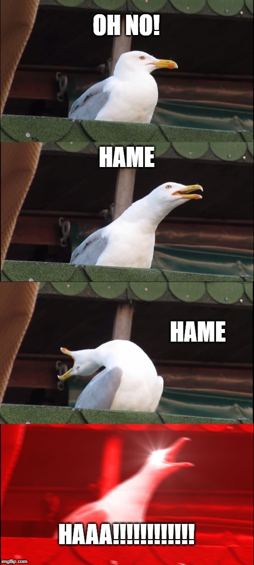 Inhaling Seagull | OH NO! HAME; HAME; HAAA!!!!!!!!!!!! | image tagged in memes,inhaling seagull | made w/ Imgflip meme maker