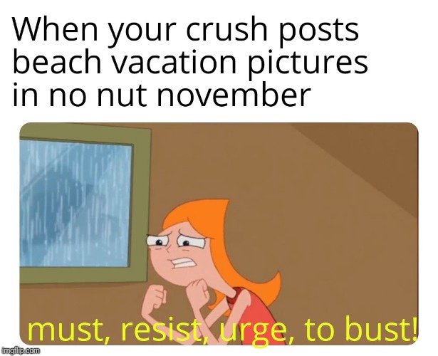 BiG YiKes | image tagged in phineas and ferb,no nut november,crush,vacation,pictures,meme | made w/ Imgflip meme maker