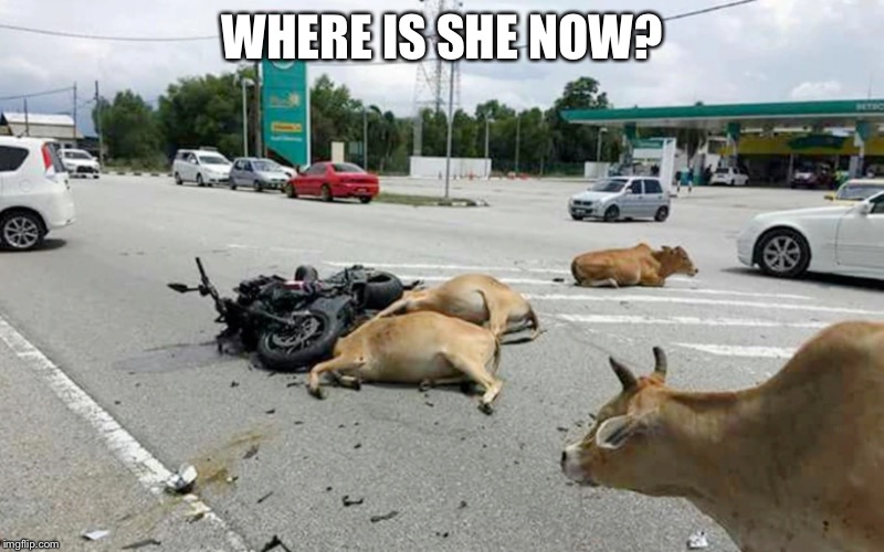 WHERE IS SHE NOW? | made w/ Imgflip meme maker