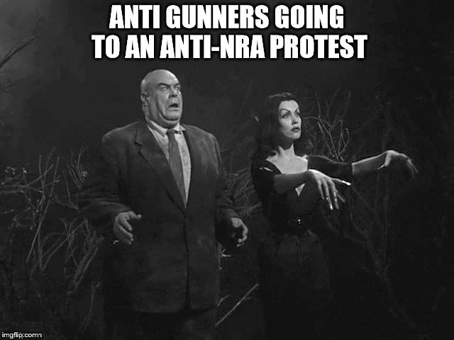 Anti-gun Zombies | image tagged in gun control,politics | made w/ Imgflip meme maker