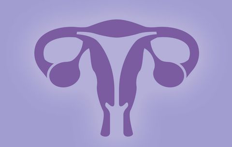 Purple Uterus Blank Meme Template