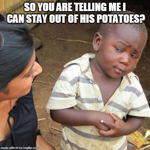 Last submission for the A.I stream for today | SO YOU ARE TELLING ME I CAN STAY OUT OF HIS POTATOES? | image tagged in memes,third world skeptical kid | made w/ Imgflip meme maker