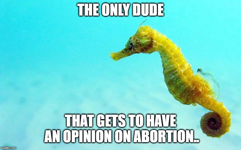 so true | THE ONLY DUDE; THAT GETS TO HAVE AN OPINION ON ABORTION.. | image tagged in sad | made w/ Imgflip meme maker