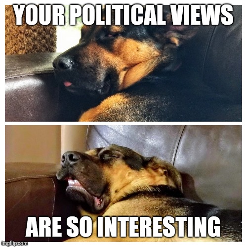 YOUR POLITICAL VIEWS; ARE SO INTERESTING | image tagged in politics lol | made w/ Imgflip meme maker